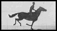 11 imágenes en movimiento, Eadweard Muybridge (1830-1904)
