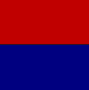 Bandera oficial que se describe en este informe
