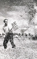 Limpiando el trigo en la era